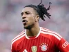 Olise Won’t Leave Bayern Munich –Freund